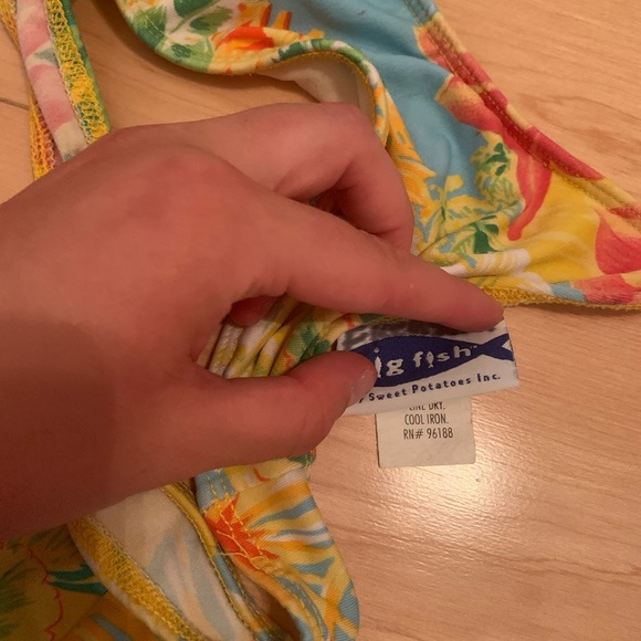 Big Fish Bikini s - Picture 2 of 3